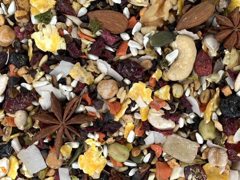 Higgins Versele-Laga Goldenfeast Central American Blend Bird Food for Conures & Cockatiels